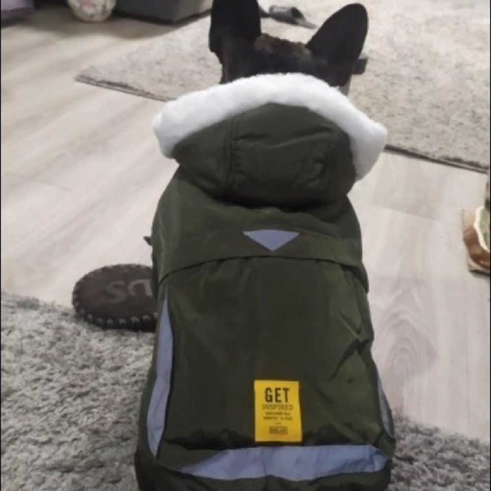 Dog Winter Hoodie Jacket - Picture 12 of 14